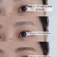 画像265