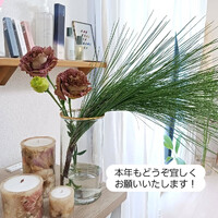 画像328