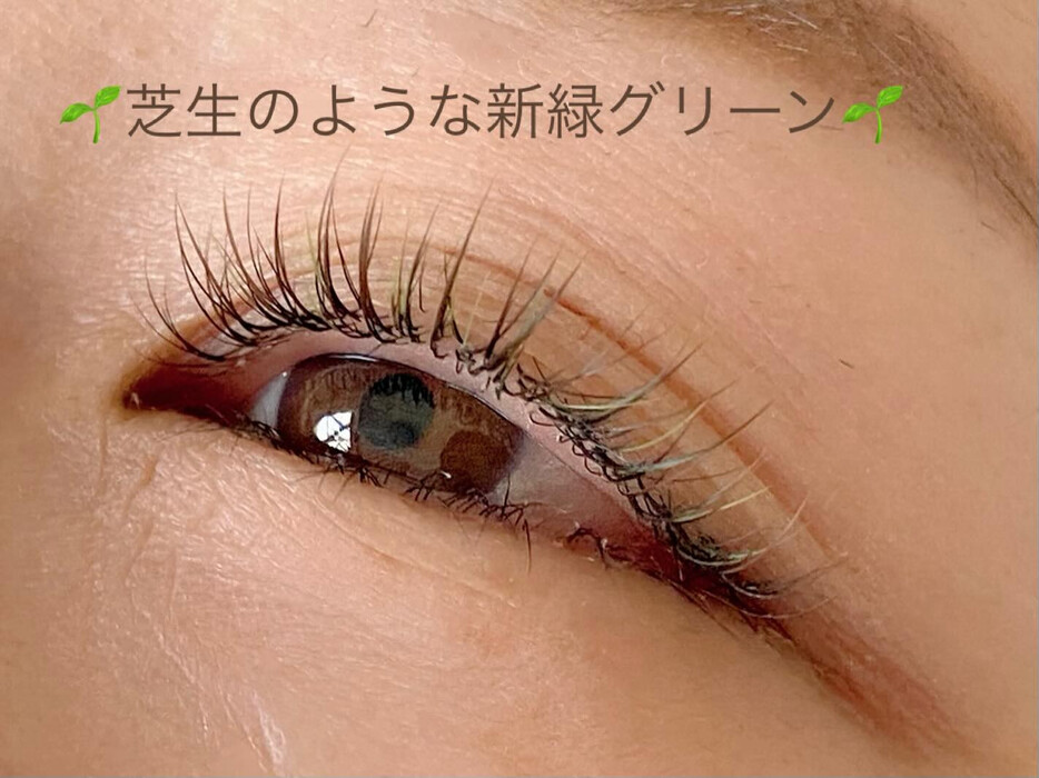 画像370